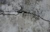 Cracked Concrete